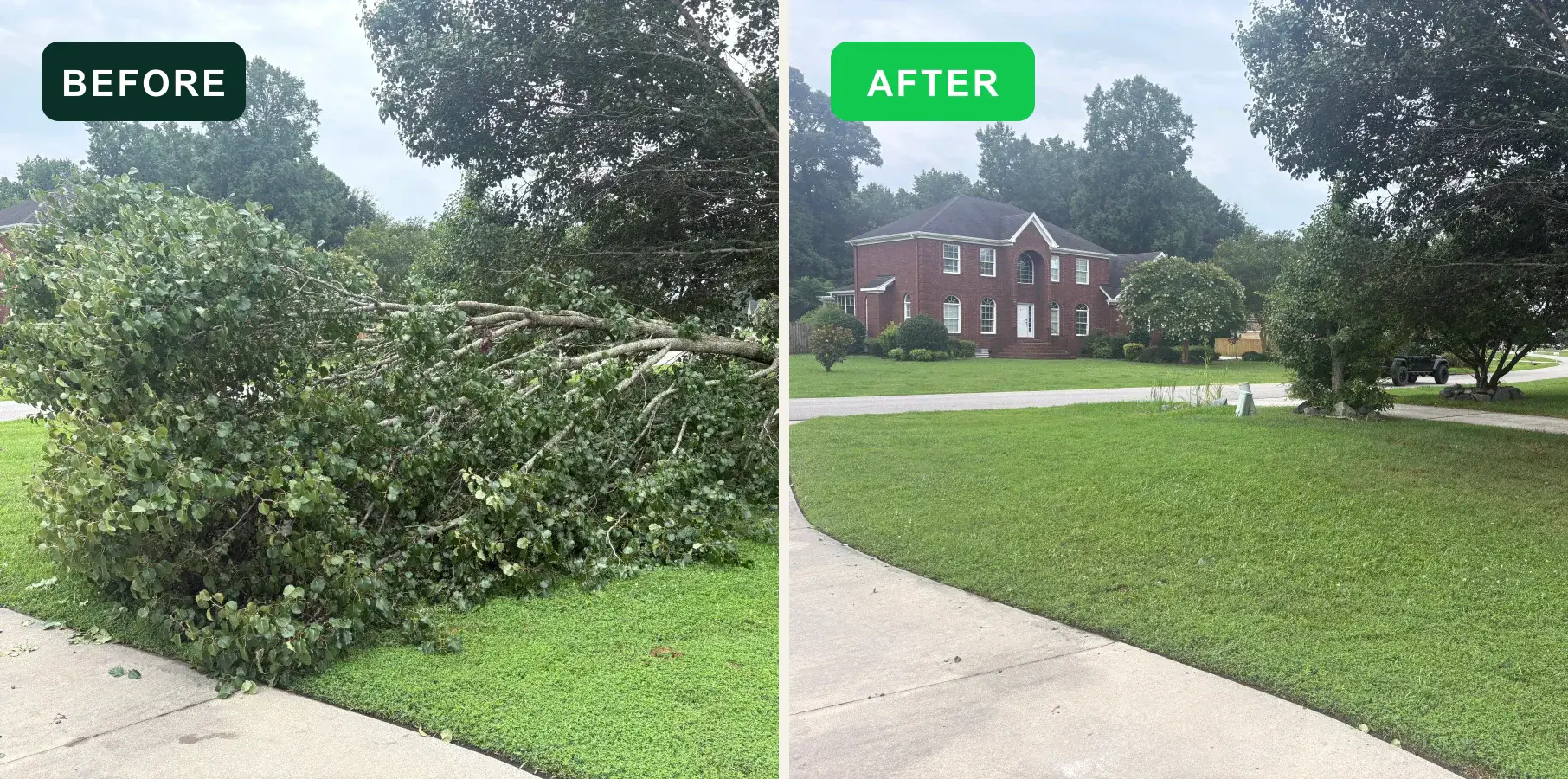 Fallen tree and branches before and after EcoClear brush removal
