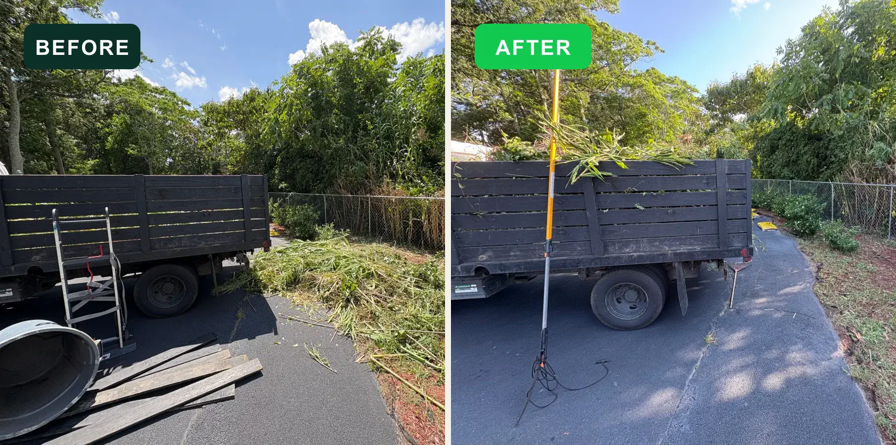 Overgrown driveway edge before and after EcoClear brush removal