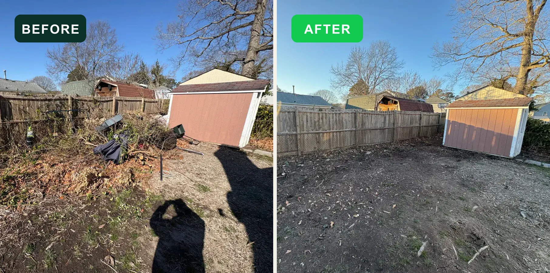 Outdoor debris and overgrowth before and after EcoClear removal